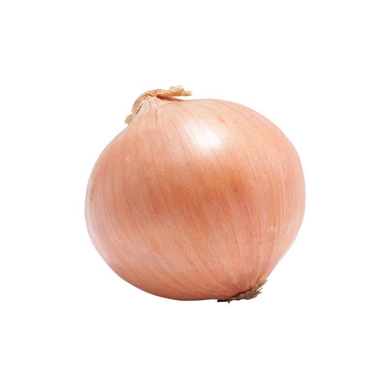 Japanese Organic Onion (600g)